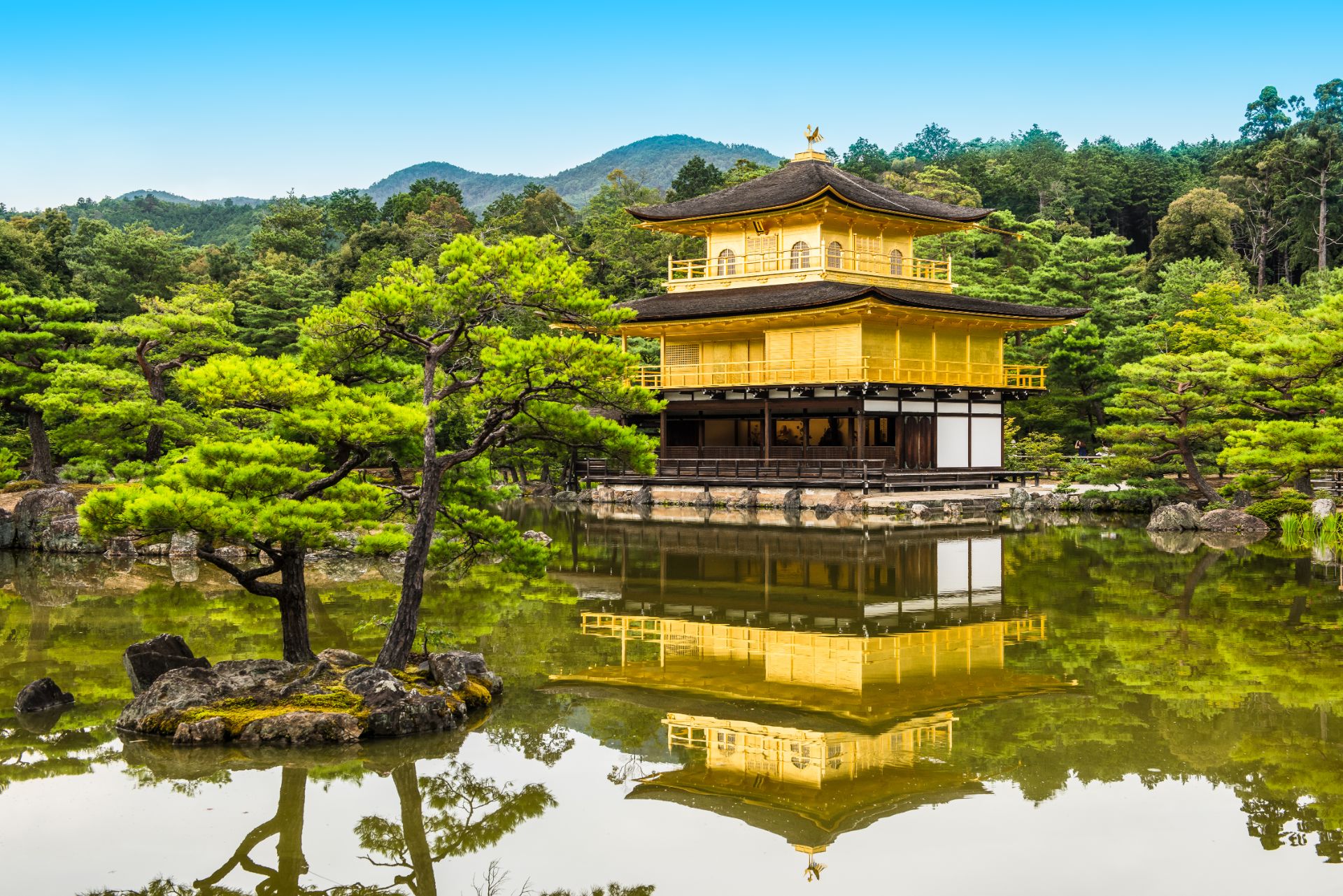 Golden Pavillion, Kyoto